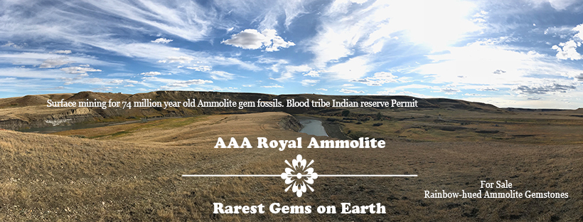 AAA Royal Ammolite Gallery | 3103 Van Horne Rd, Qualicum Beach, BC V9K 2L2, Canada | Phone: (250) 752-0777