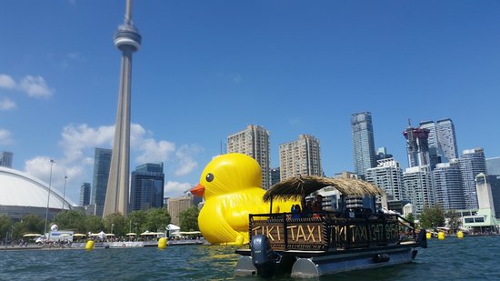 Tiki Taxi, Toronto, ON | Martin Goodman Trail, Toronto, ON M5V 2Y2, Canada | Phone: (647) 347-8454