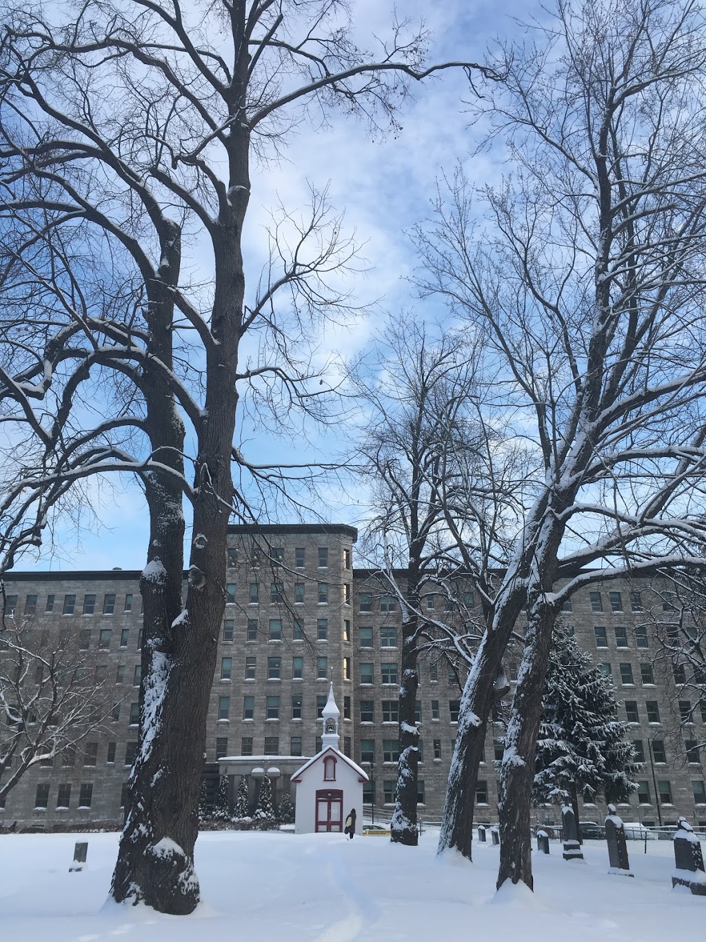 University Institute in Mental Health of Quebec | 2601 Chemin de la Canardière, Québec, QC G1J 2G3, Canada | Phone: (418) 663-5000
