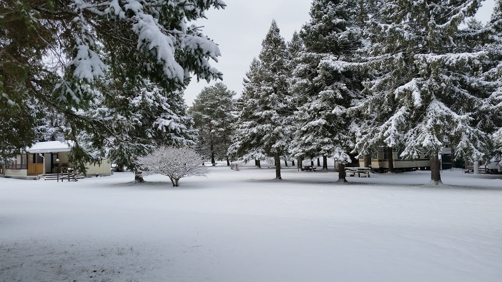Harmony Ranch | 184 Baldwin Rd, Baldwin, ON L0E 1A0, Canada | Phone: (905) 722-8858
