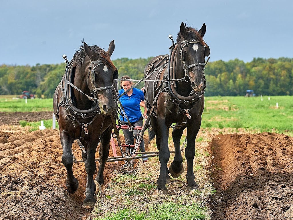 DICE Agricultural Services | Vimy Ridge Rd, Cobourg, ON K9A 4J7, Canada | Phone: (519) 498-1376