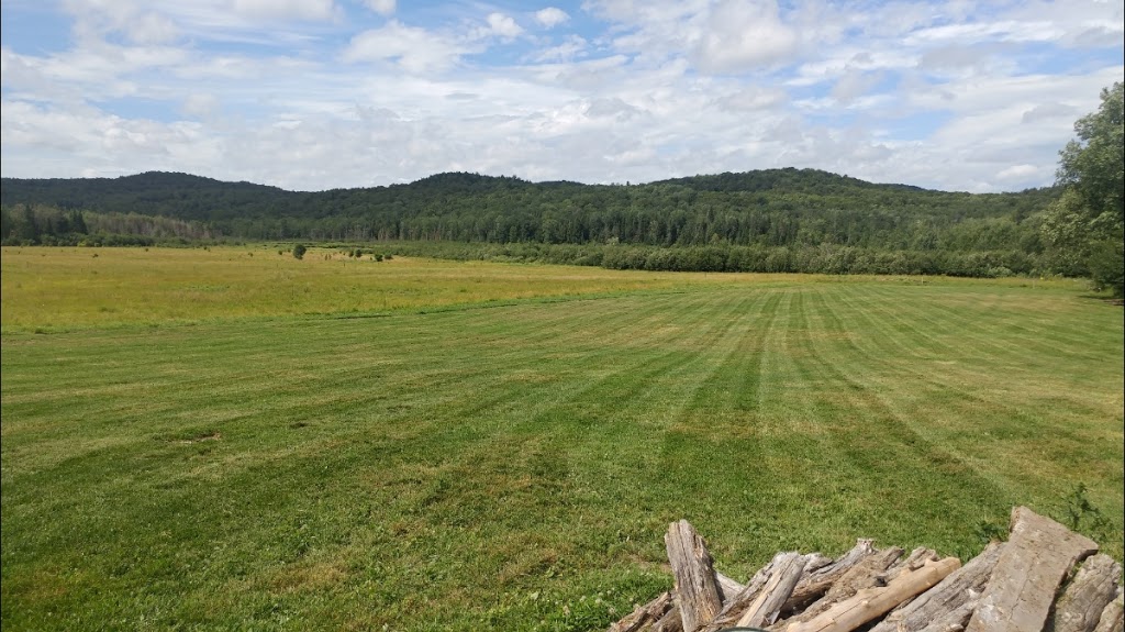 Entretien Paysagement TJL | #311, Cowansville, QC J2K 2N4, Canada | Phone: (450) 558-4649