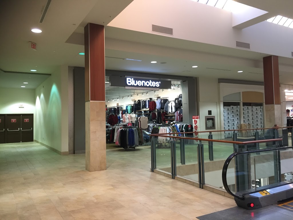 Bluenotes | 1000 Gerrard St E Unit #dd1, Toronto, ON M4M 3G6, Canada | Phone: (416) 461-9214