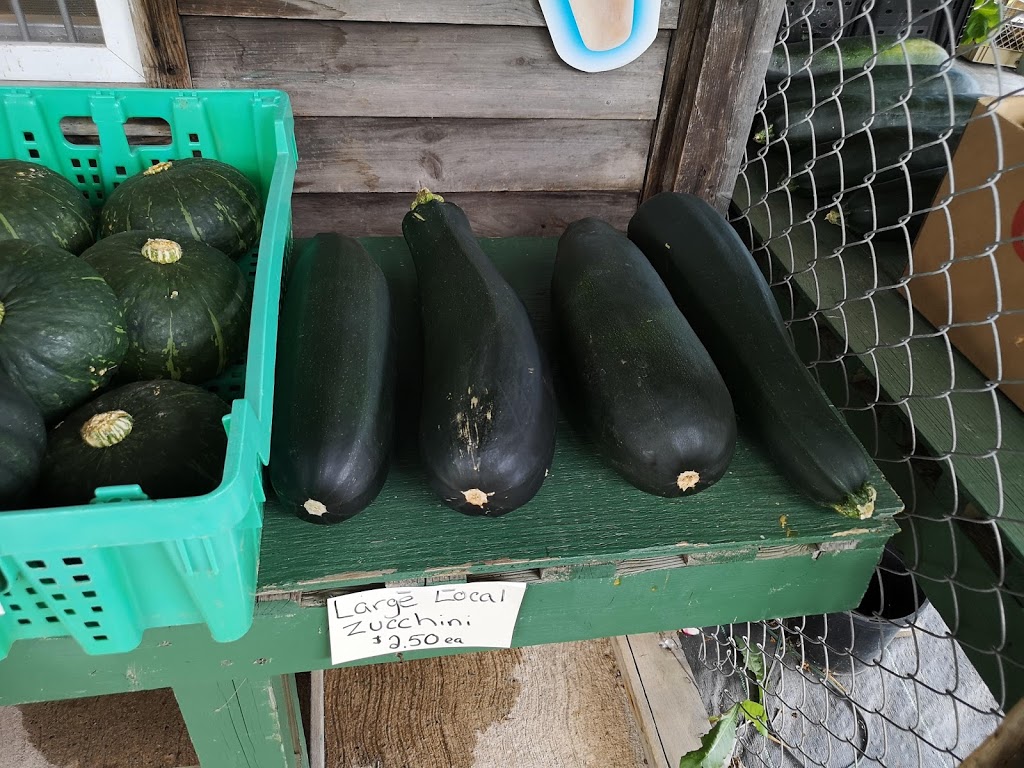 Doyles Farm Market | 4844 NS-12, Kentville, NS B4N 3V8, Canada | Phone: (902) 678-1206