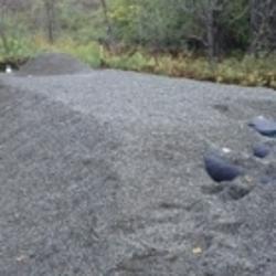 Excavation Kevin et Pierre Bouchard inc. | 4484 QC-251, Cookshire-Eaton, QC J0B 1M0, Canada | Phone: (819) 837-2878