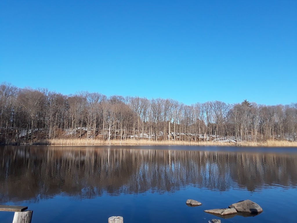 Sinking Pond Wildlife Sanctuary | East Aurora, NY 14052, USA