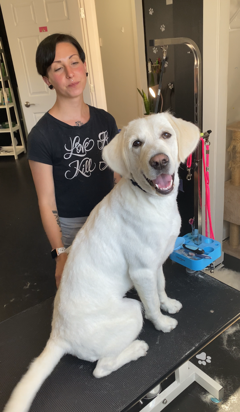 Savs Grooming Salon | 8097 Queen St, Crofton, BC V0R 1R0, Canada | Phone: (250) 740-5331