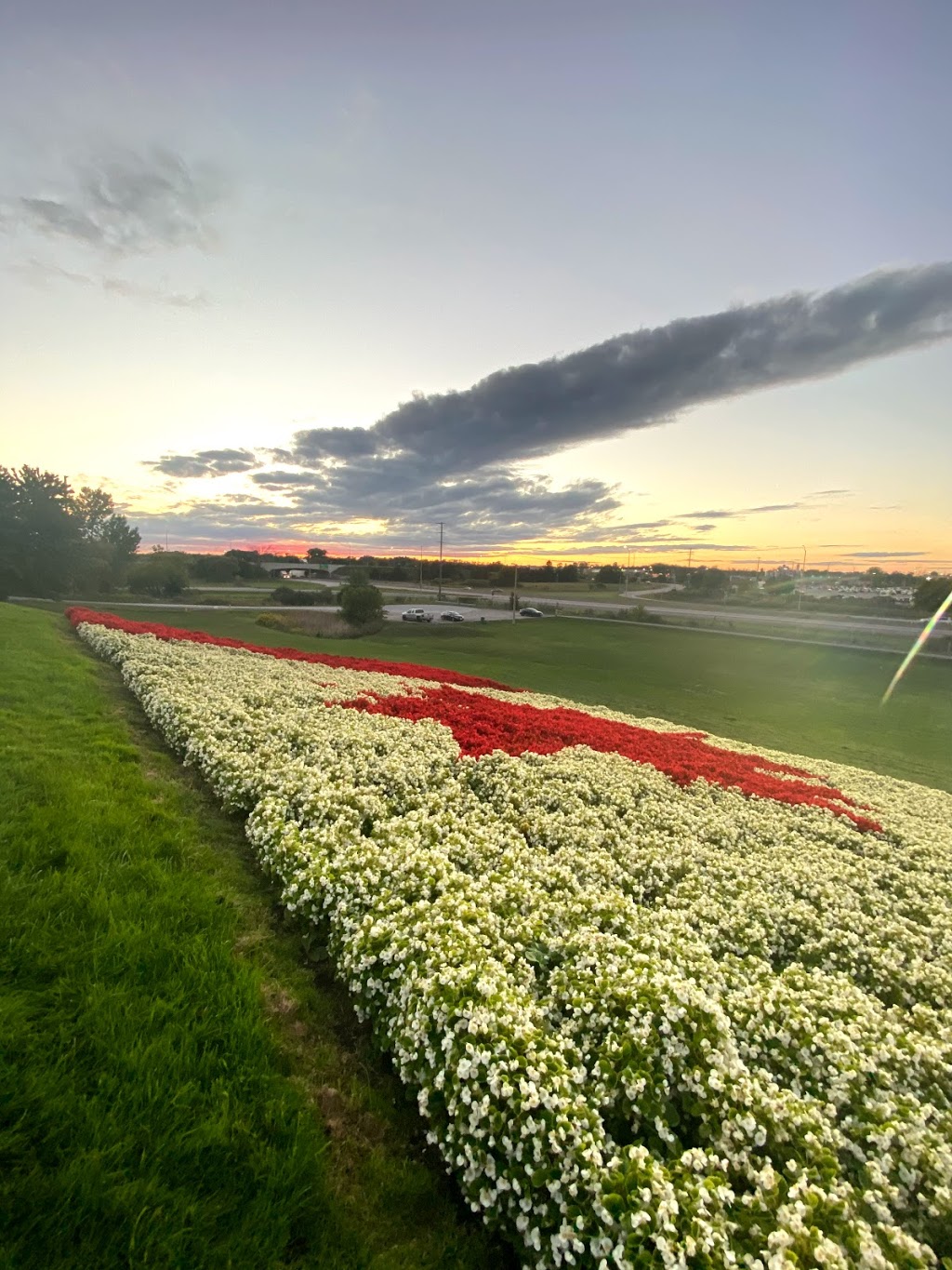 401 Hill Tobogganing Hill (Riverside Park) | Riverside Park Trail, Belleville, ON K8N 2S3, Canada | Phone: (613) 968-6481