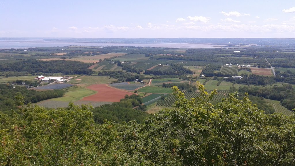Randsland Farms Inc | 1050 Pereau Rd, Canning, NS B0P 1H0, Canada | Phone: (902) 582-7705
