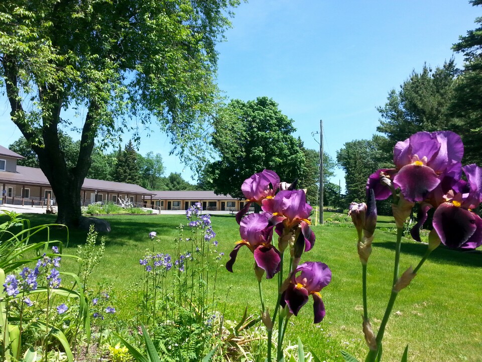 Moonlight Motel | 6160 Hwy 7, Havelock, ON K0L 1Z0, Canada | Phone: (705) 778-3332