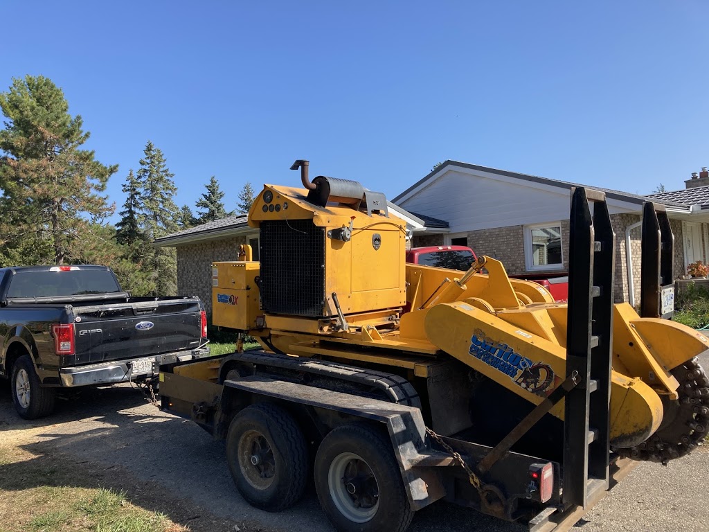 Complete Stump & Tree Removal Inc. | 457 Regency Crescent, Waterloo, ON N2T 1P2, Canada | Phone: (519) 590-8178