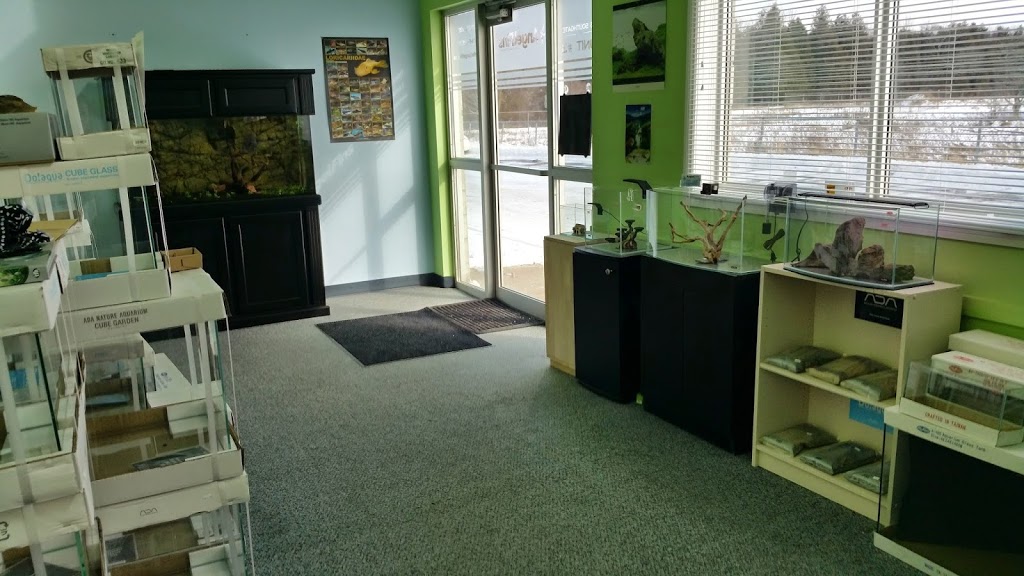 AngelFins - Quality Aquarium Supplies | 230 Hanlon Creek Boulevard unit 107, Guelph, ON N1C 1C1, Canada | Phone: (519) 546-6911