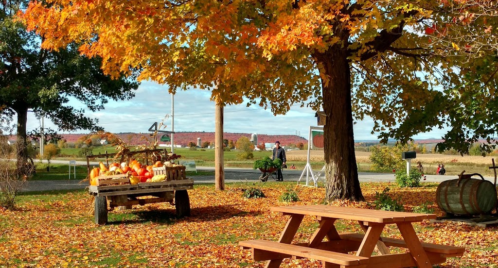 The Rainbow of Paradise | 25 Rang St François O, Cap-Santé, QC G0A 1L0, Canada | Phone: (581) 999-1009