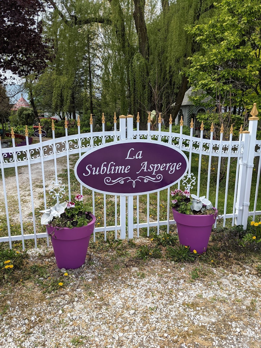 La sublime asperge | 620 Rang Saint-Thomas, Saint-Aimé, QC J0G 1K0, Canada | Phone: (450) 788-2633