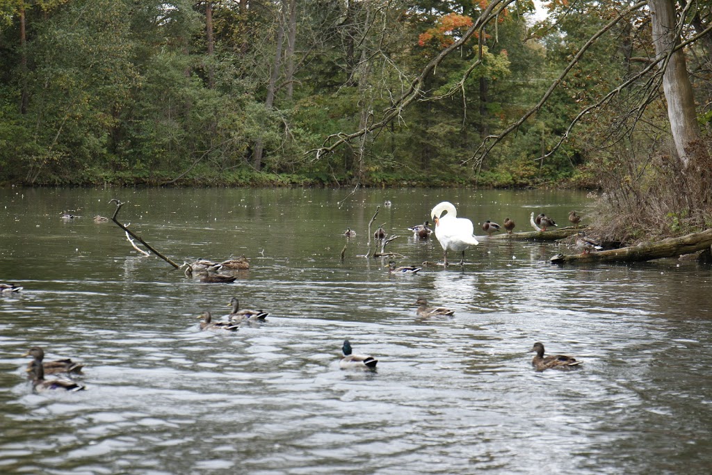 Sulphur Spring Conservation Area | 261123 Grey Rd 28, Hanover, ON N4N 3B8, Canada | Phone: (519) 367-3040