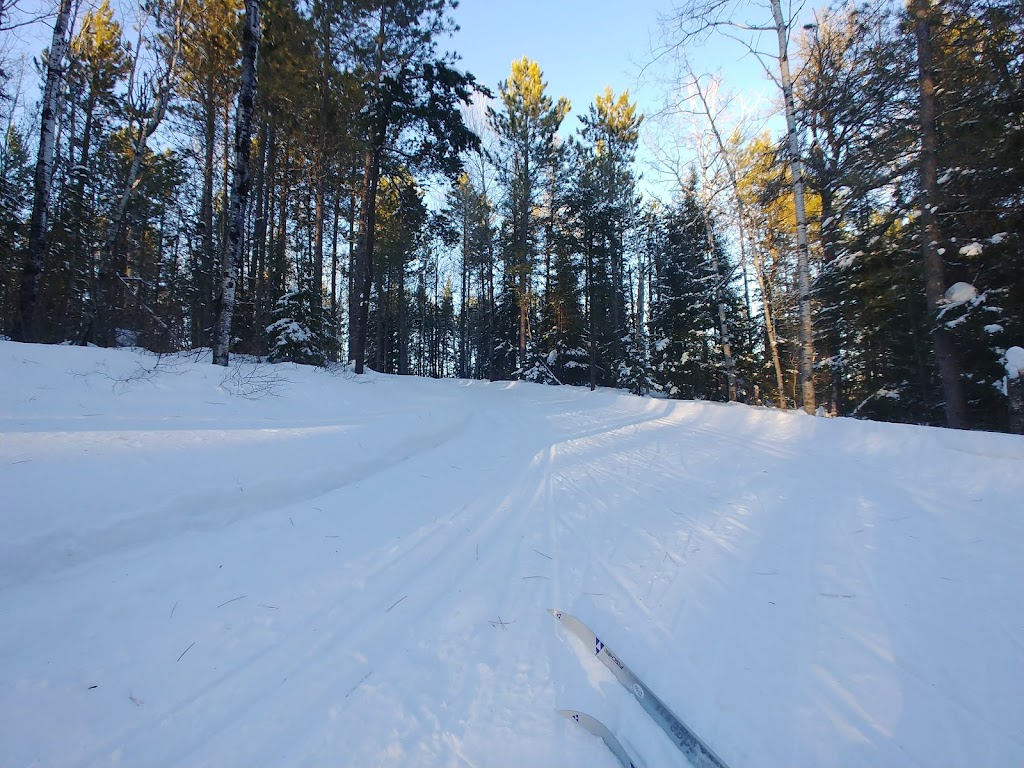Temiskaming Nordic Ski Club | Forest Access Rd, Coleman, ON P0J 1P0, Canada | Phone: (705) 679-5106