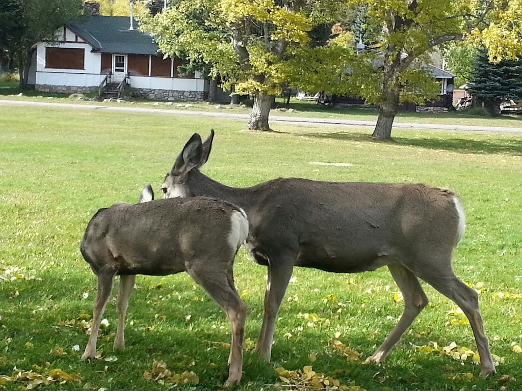 Waterton United Church | 108 Clematis Ave, Waterton Park, AB T0K 2M0, Canada | Phone: (403) 627-2762