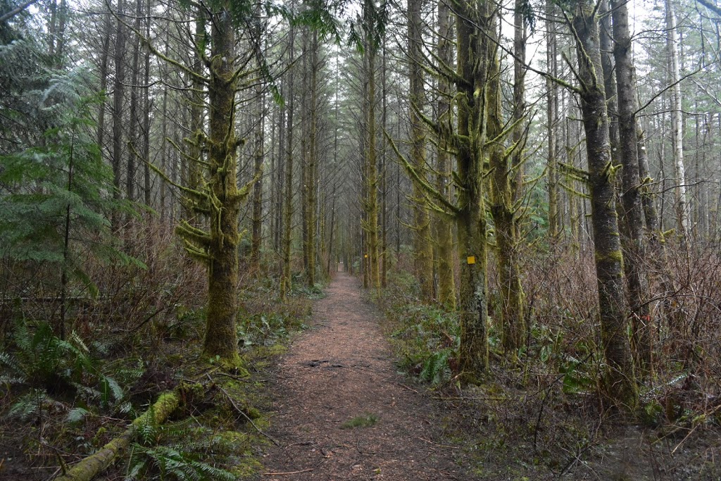 QAI Labs Outdoor Test Site | Marc Rd, Maple Ridge, BC V4R 2G5, Canada | Phone: (877) 461-8378