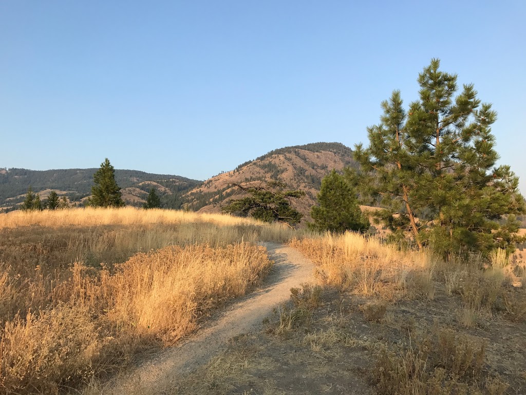 Black Mountain View Point | 1035 Stockley St, Kelowna, BC V1P 1S4, Canada