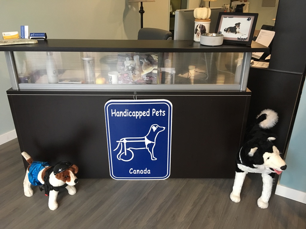 Handicapped Pets Canada | 27306 Fraser Hwy, Aldergrove, BC V4W 3P8, Canada | Phone: (778) 809-7421