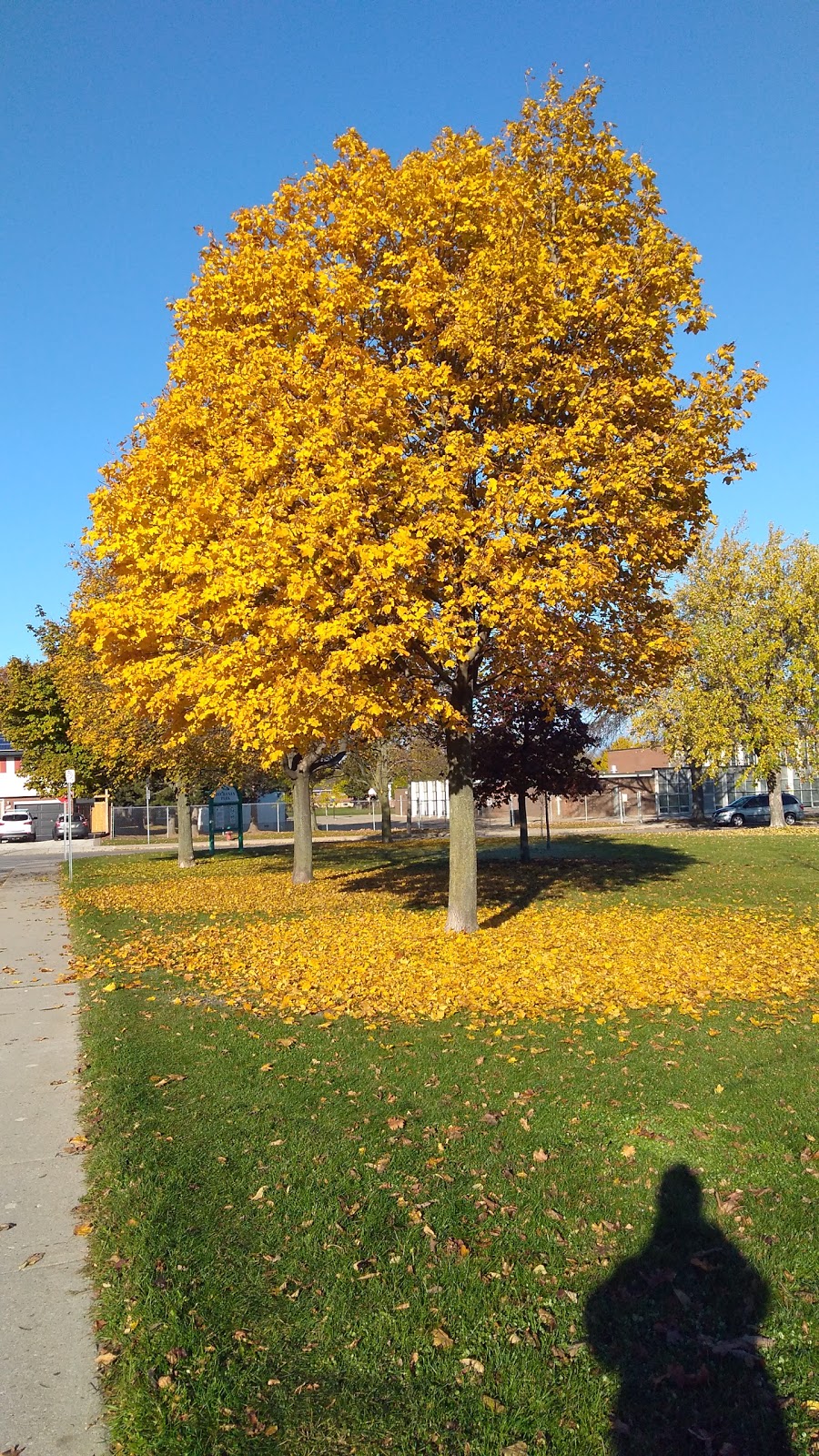Buchanan Park | 111 Columbia Dr, Hamilton, ON L9C, Canada