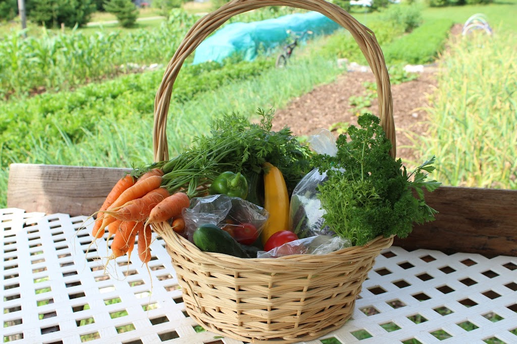Jardins Chant de Vie | 225 2e Rang, Drummond, QC J0B 2T0, Canada | Phone: (819) 826-1324