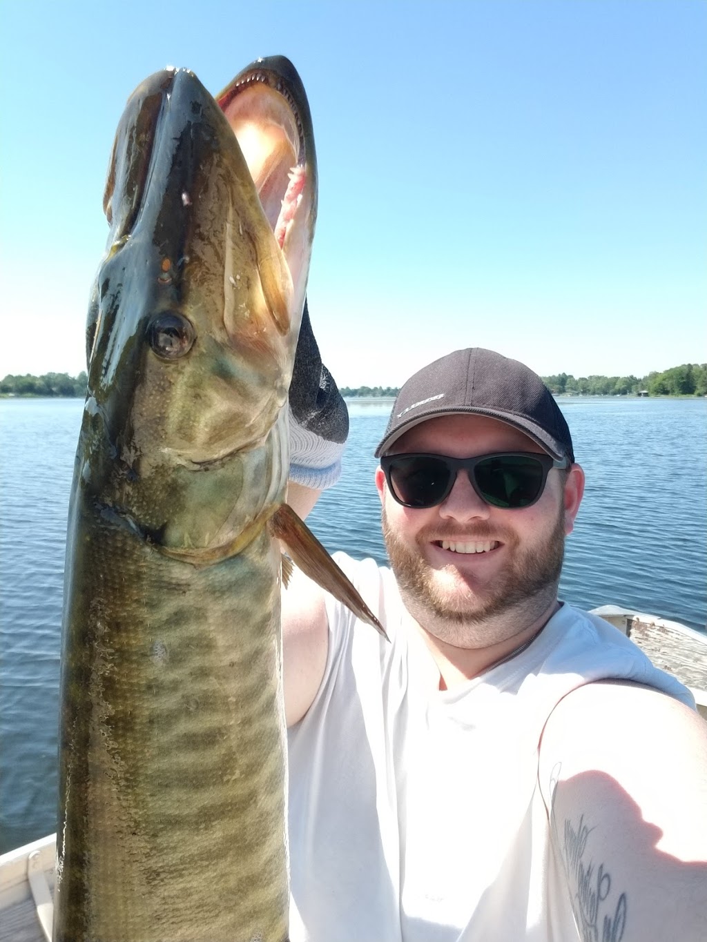Fees Landing Resort And Marina | 55 Russell Dr, Omemee, ON K0L 2W0, Canada | Phone: (705) 799-6497