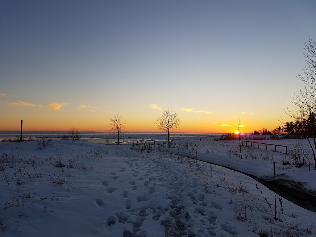 BMO Contracting | Meaford, ON N4L 1X5, Canada | Phone: (416) 458-8789