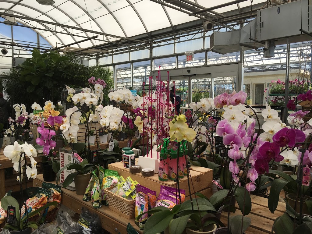 Sheridan Nurseries | 4077 Hwy 7, Unionville, ON L3R 1L5, Canada | Phone: (905) 477-2253