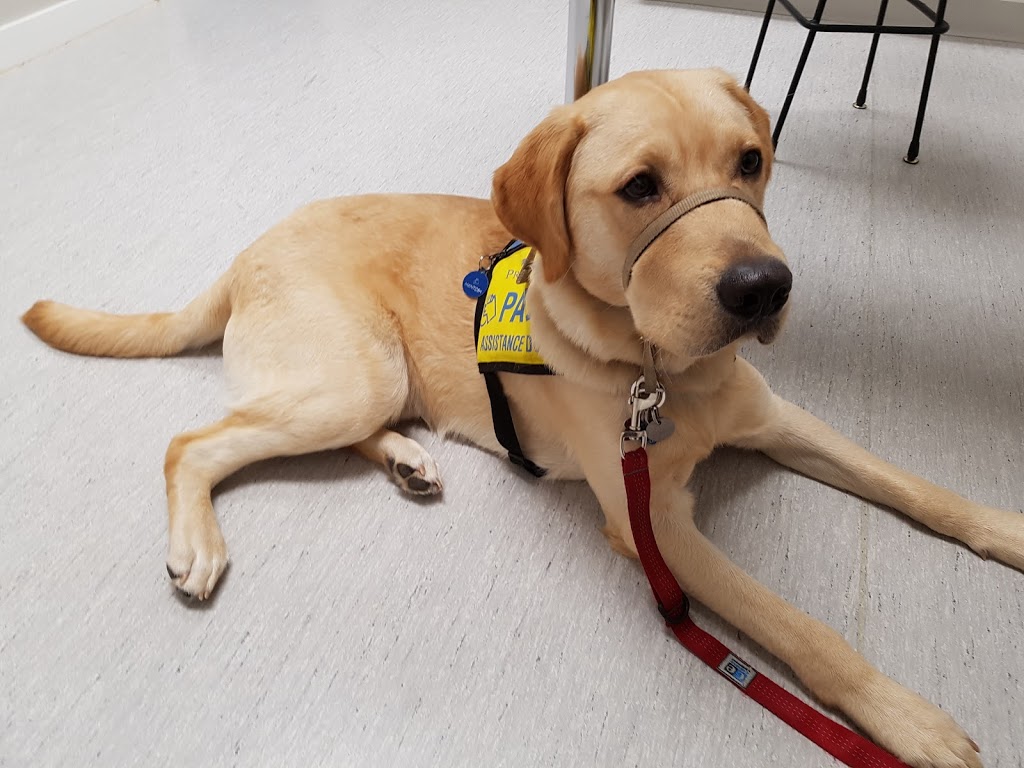 Burquitlam Animal Hospital | 658 Clarke Rd, Coquitlam, BC V3J 3Y1, Canada | Phone: (604) 936-3447
