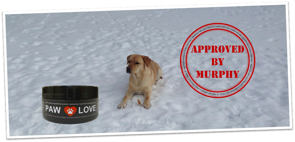 Paw Love | 1 First St suite 220, Collingwood, ON L9Y 1A1, Canada | Phone: (800) 295-8561