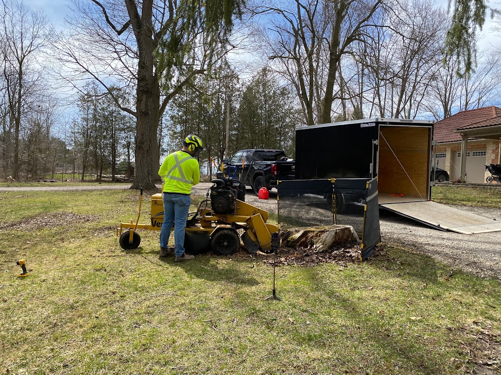 Stump Grizzly | Foxborough Pl, Thorndale, ON N0M 2P0, Canada | Phone: (226) 921-8619