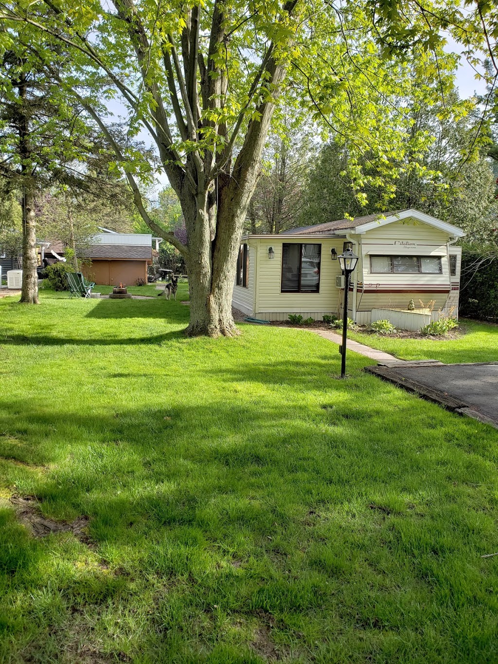 Pine Lake Family Campground | 77794 Orchard Line, Bayfield, ON N0M 1G0, Canada | Phone: (519) 482-3380