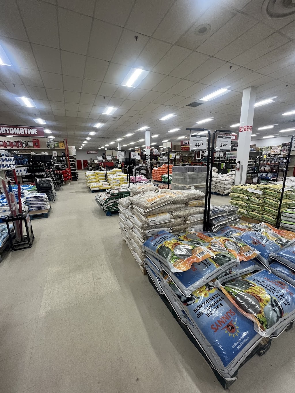 Peavey Mart | 1200 Pembroke St W, Pembroke, ON K8A 7T1, Canada | Phone: (613) 732-8974