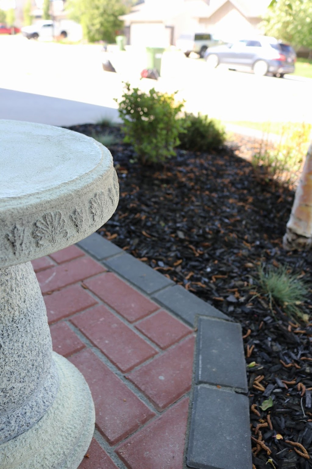 Tree Amigo Custom Landscaping | 51 Beacham Way NW, Calgary, AB T3K 1R7, Canada | Phone: (403) 690-8456