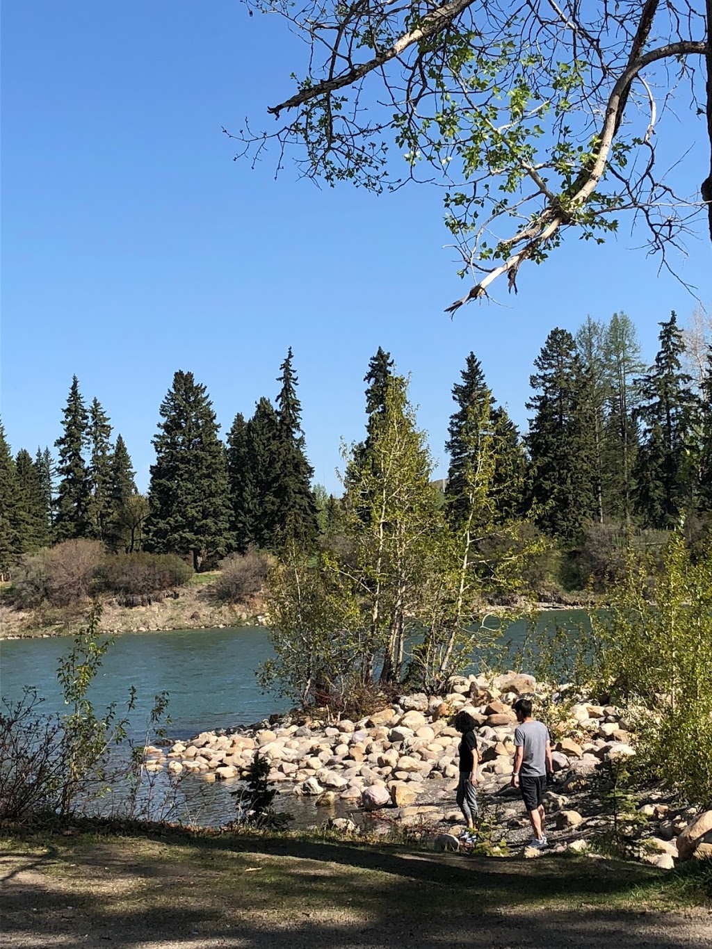 Bowness Park | 8900 48 Ave NW, Calgary, AB T3B 2B2, Canada | Phone: (403) 268-2489
