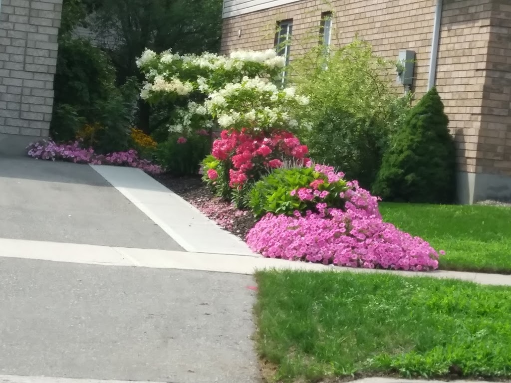 Budd Park | Kitchener, ON N2C 2P7, Canada | Phone: (519) 896-8947