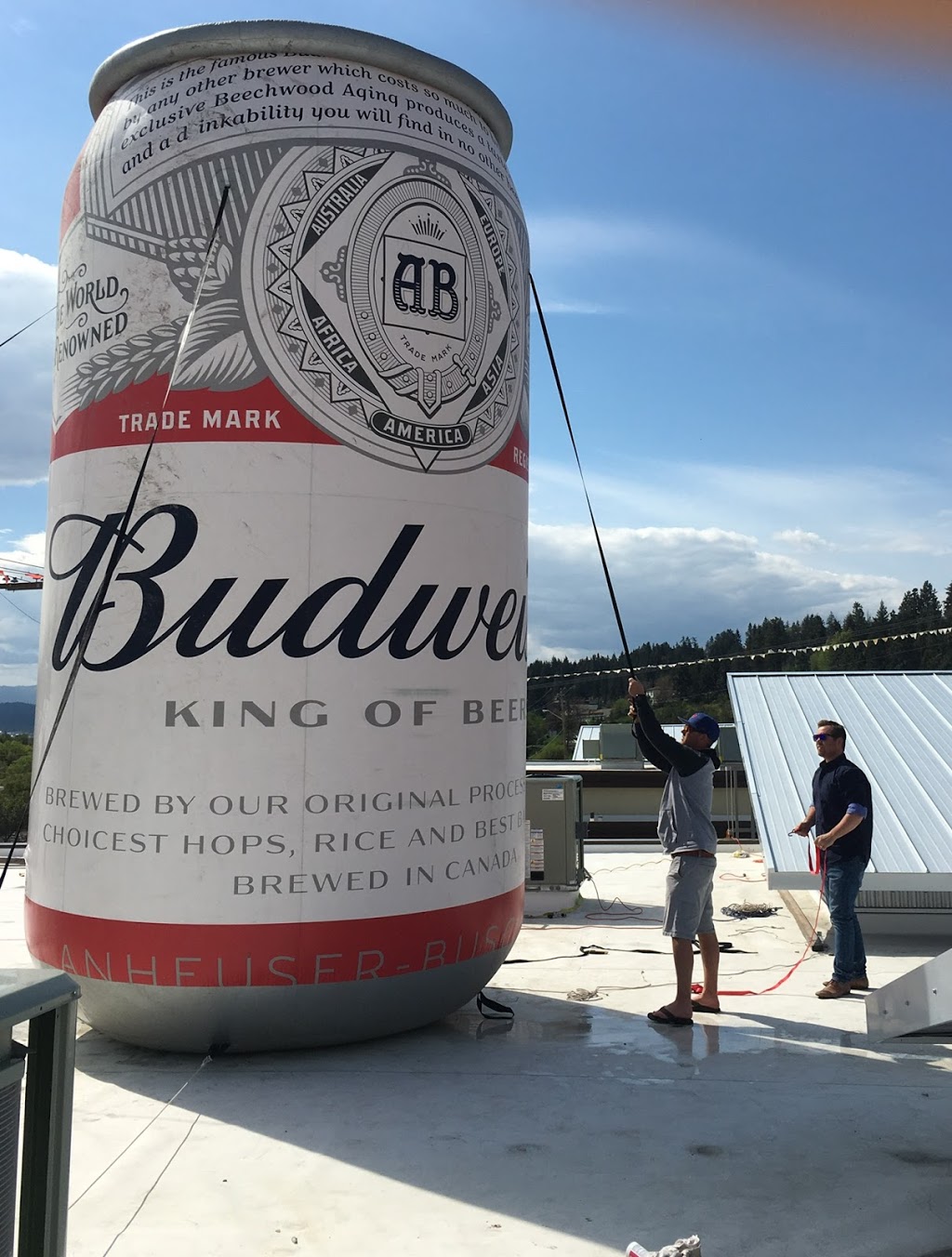 Turtle Bay Crossing Liquour Merchants | 201-11850 Oceola Rd, Lake Country, BC V4V 2T5, Canada | Phone: (778) 480-6646