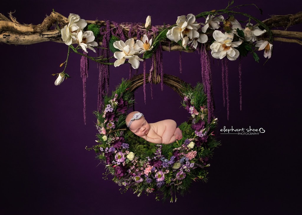 Elephant Shoe Photography | 49 Majesty Blvd, Barrie, ON L4M 0E4, Canada | Phone: (705) 715-2276
