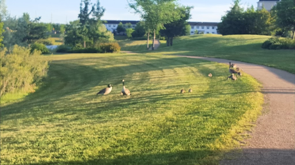 Trounce Pond | Saskatoon, SK S7V 1J2, Canada | Phone: (306) 975-3300