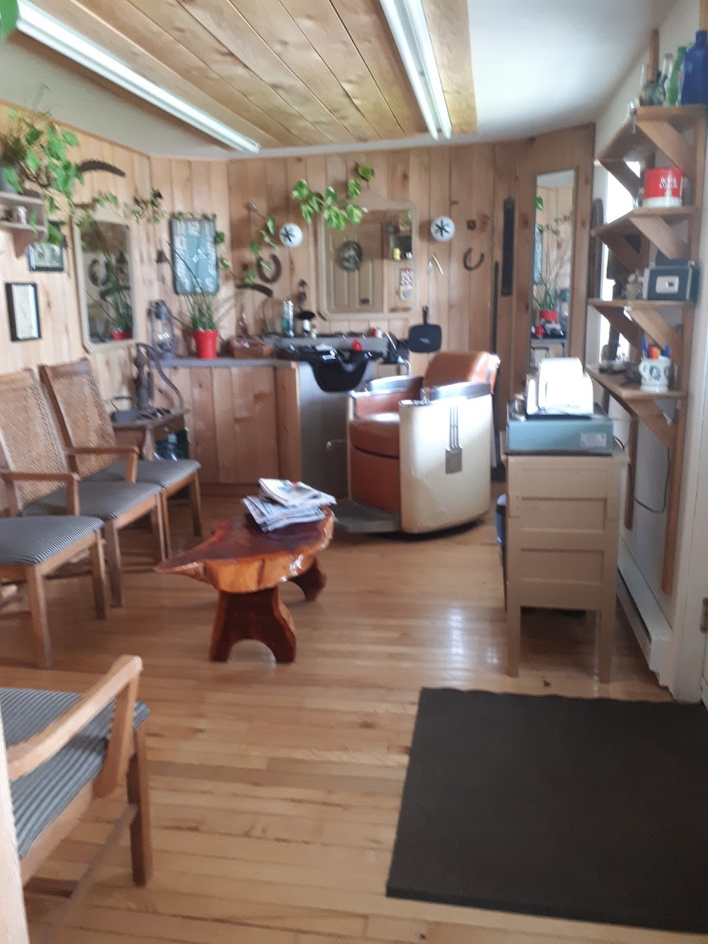 barbier rawdon | 3467 Rue Albert, Rawdon, QC J0K 1S0, Canada | Phone: (450) 917-3742