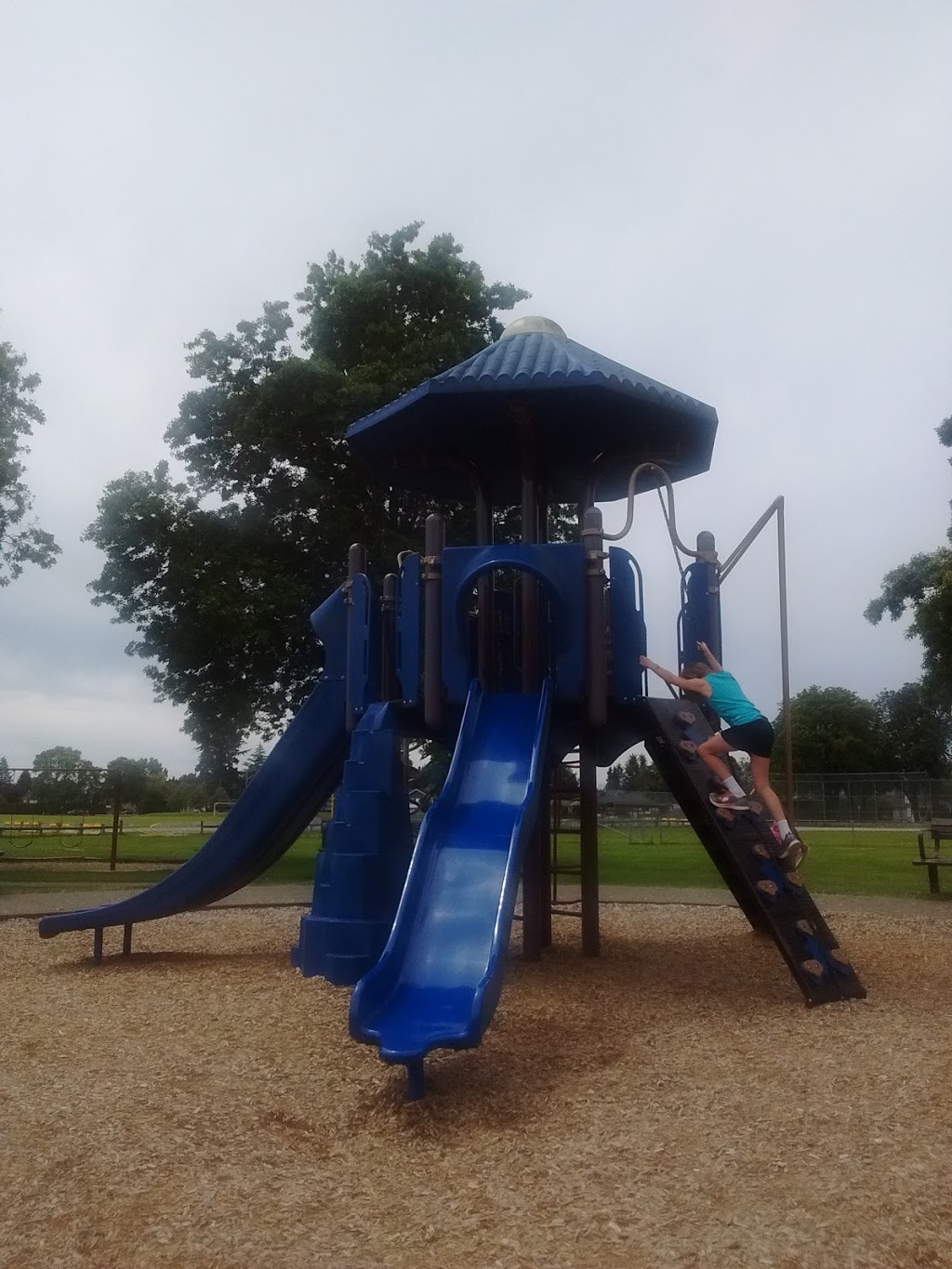 Memorial Park | 5010 47 Ave, Delta, BC V4K, Canada | Phone: (604) 946-3308