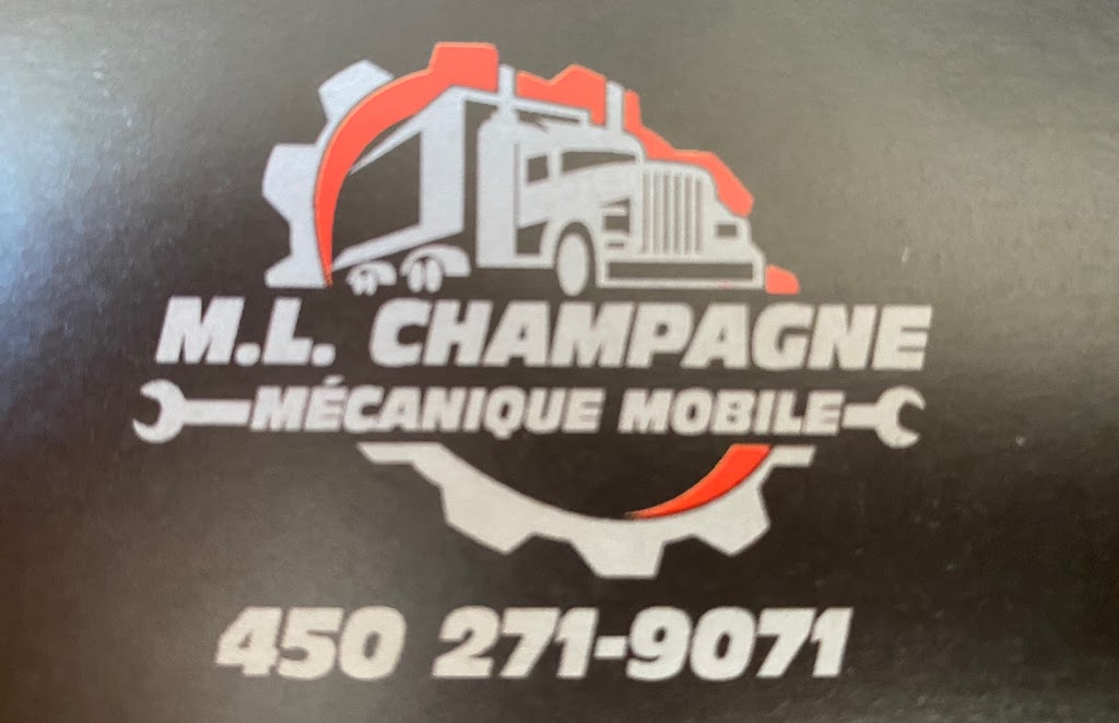 M.L.CHAMPAGNE INC. | 155 Chem. Bellevue, Saint-Boniface, QC G0X 2L0, Canada | Phone: (450) 271-9071