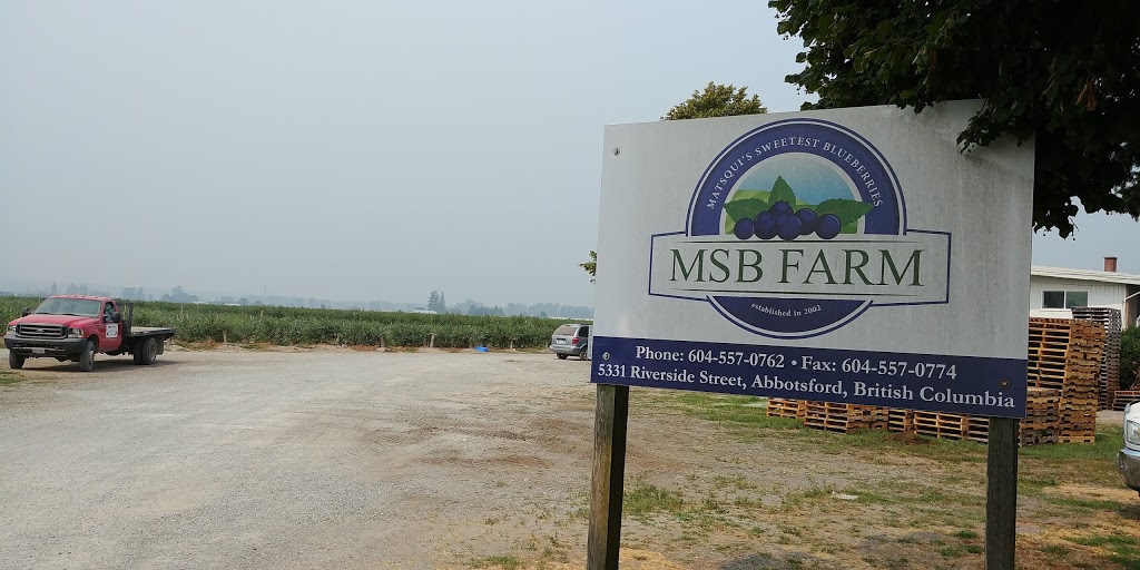 MSB Farm | 5331 Riverside St, Abbotsford, BC V4X 1T6, Canada | Phone: (604) 557-0762