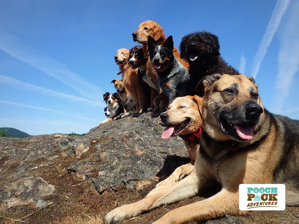 Pooch Pack Adventures | 3312 Hammond Bay Rd, Nanaimo, BC V9T 1E6, Canada | Phone: (250) 619-8241