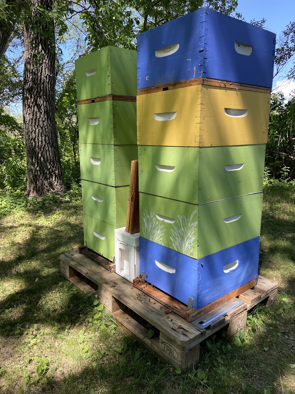 Brambles n Bees | 71 Bachman Bay, Winnipeg, MB R2P 1V6, Canada | Phone: (204) 333-2135