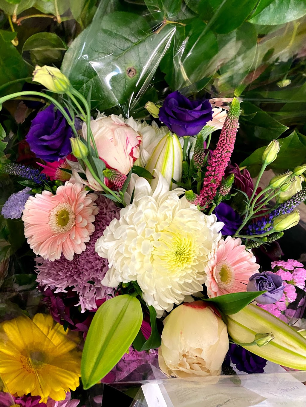 Kingston Road Flower Market | 966 Kingston Rd, Toronto, ON M4E 1S7, Canada | Phone: (416) 694-9131