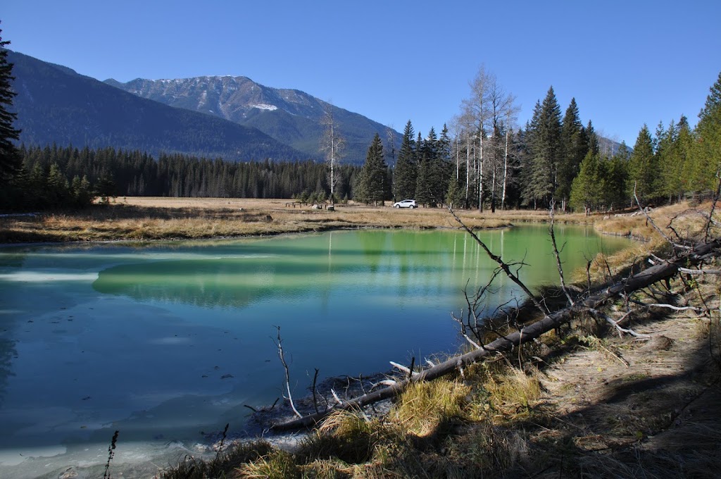 Sulphur Springs | East Kootenay A, BC V0B 1H0, Canada | Phone: (250) 865-4015