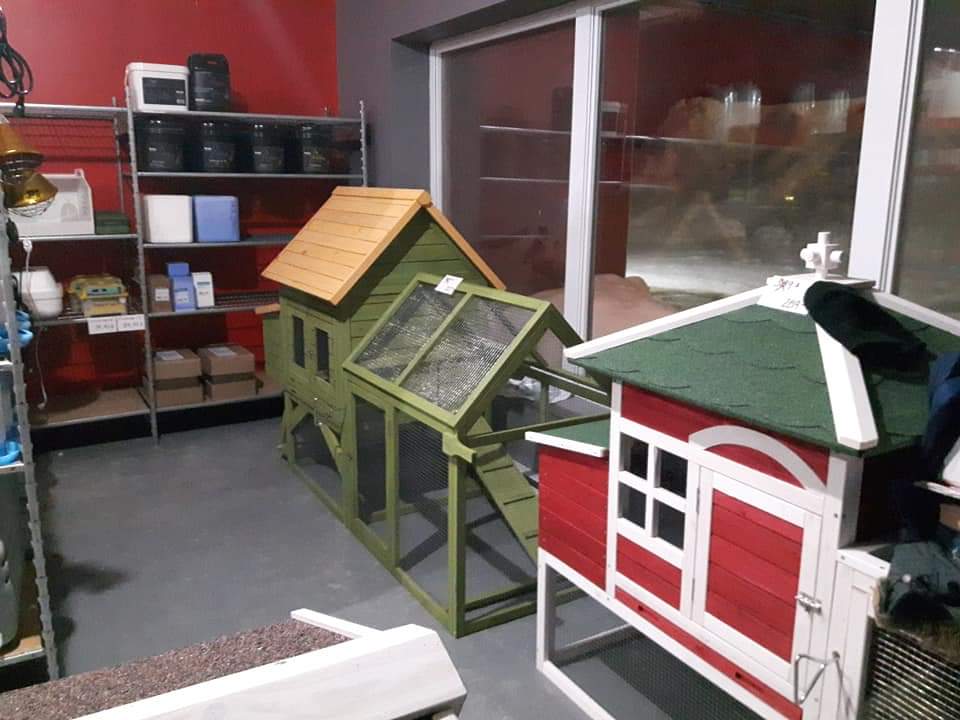 Ma poule express | 720 Rue Saint Alexis, Trois-Rivières, QC G8T 1B3, Canada | Phone: (418) 580-4387