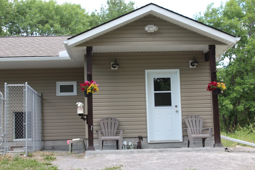 Jurassic Bark Kennels | 18 Fells Point Rd, Fenelon Falls, ON K0M 1N0, Canada | Phone: (705) 340-2925